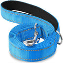 Reflective Night Dog Leash: Enhance Visibility and Safety  ourlum.com baby blue 2.5x120cm 