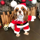 Santa Claus Pet Winter Costume for Dogs and Cats: Stay Festive & Cozy  ourlum.com   