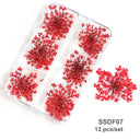 12/18Pcs/box 3D Dried Flowers Nail Art Decorations Dry Floral Bloom Stickers DIY Manicure Charms Designs For Nails Accessories  ourlum.com SSDF07  