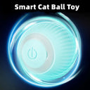 Electric Interactive Cat Toy for Smart Indoor Fun