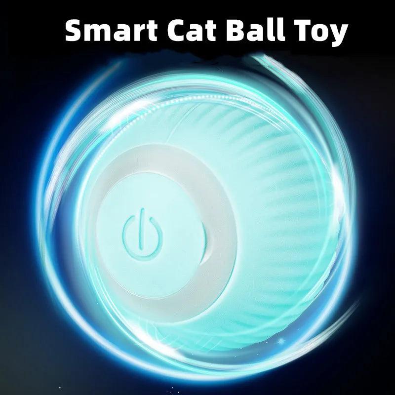 Electric Rolling Cat Toy for Indoor Interactive Playing  ourlum.com   