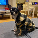 Winter Wool Pet Hoodie: Cozy Chihuahua Pug Sweater for Small Dogs  ourlum.com   