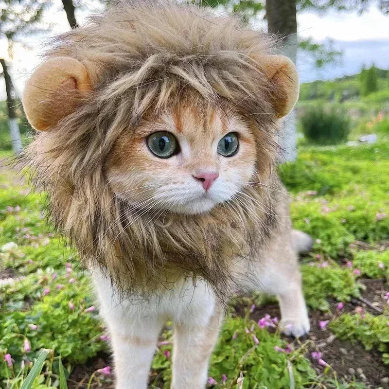 Cat Lion Mane Hat Costume: Transform Pets into Lions for Halloween & Christmas  ourlum.com   