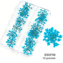 12/18Pcs/box 3D Dried Flowers Nail Art Decorations Dry Floral Bloom Stickers DIY Manicure Charms Designs For Nails Accessories  ourlum.com SSDF06  