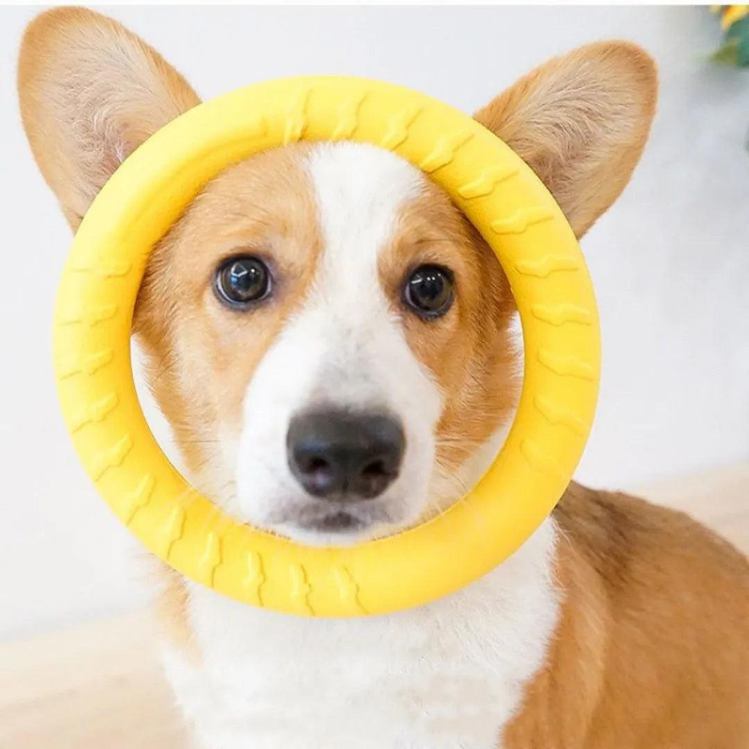 Dog Ring Toys: Gentle on Teeth, Perfect for Training & Play  ourlum.com   