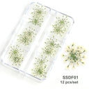 12/18Pcs/box 3D Dried Flowers Nail Art Decorations Dry Floral Bloom Stickers DIY Manicure Charms Designs For Nails Accessories  ourlum.com SSDF01  