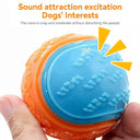 Bite-Resistant Beef-Flavored Rubber Ball for Dog Training