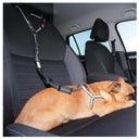 Dog Safety Belt: Professional Safety Leash for Cats and Dogs  ourlum.com   