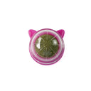 Catnip Wall Ball Cat Toy for Cats Clean Mouth Entertain Kittens