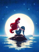 Disney Princess Diamond Painting Kit: Create Enchanting Mosaic Art  ourlum.com HBDSN1074 Round 20x30cm 