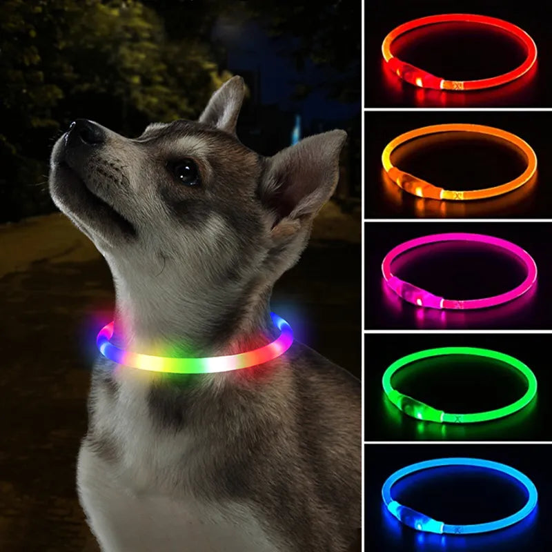 LED Night Safety Collar for Dogs and Cats: Enhanced Visibility & USB Rechargeable