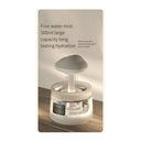 300Ml Mushroom Rain Cloud Humidifier With Night Light