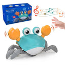 Crawling Crab Octopus Toy: Interactive Musical Educational Toddler Gift  ourlum.com Green Crab  USB CHINA 