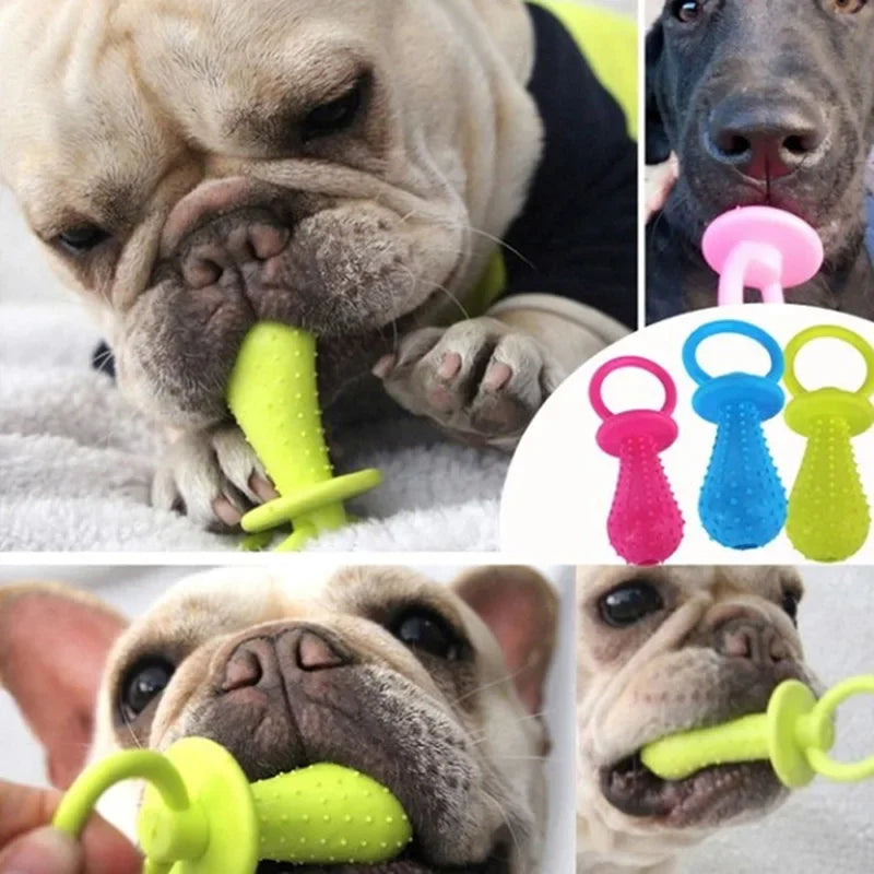 Rubber Pet Chew Toy for Small Dogs: Dental Health & Training Aid  ourlum.com   