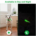 LED Light Up Dog Collar: Customizable Night Safety, Waterproof, Multiple Flash Modes  ourlum.com   