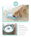 Automatic Water Dispenser Feeding Teddy Mouth Wet-Proof Cat