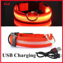 LED Light Up Dog Collar: Customizable Night Safety, Waterproof, Multiple Flash Modes  ourlum.com Red USB Charging XS Neck 28-38 CM United State