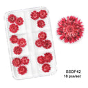 12/18Pcs/box 3D Dried Flowers Nail Art Decorations Dry Floral Bloom Stickers DIY Manicure Charms Designs For Nails Accessories  ourlum.com SSDF42  