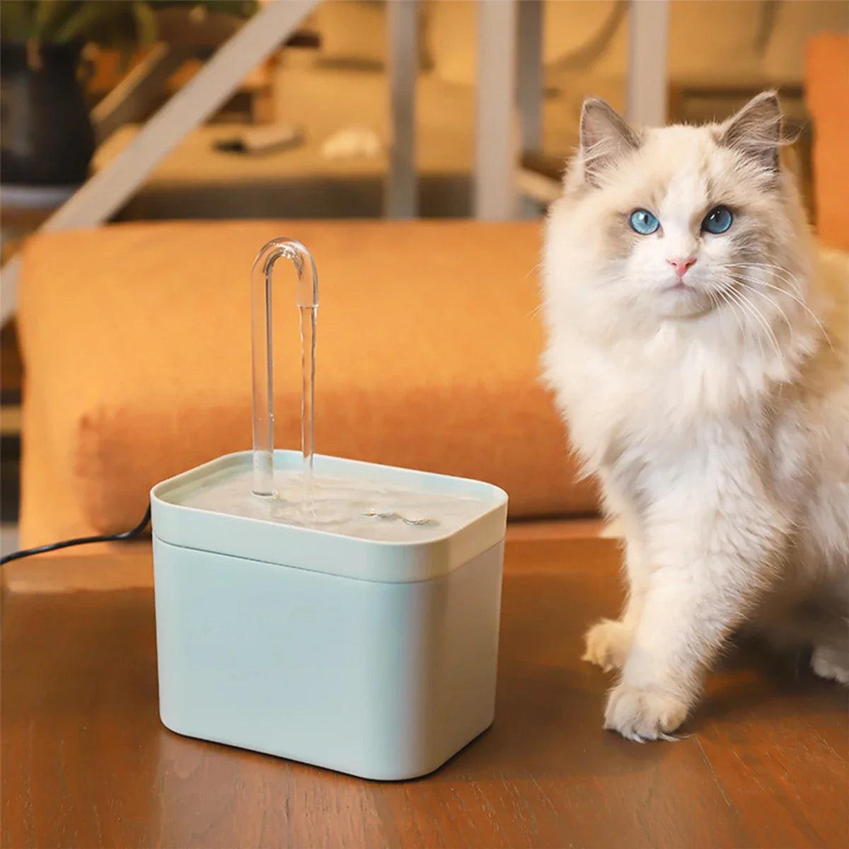 Cat Water Fountain: Auto Filter Pet Drinker Recirculating System  ourlum.com   