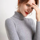 Turtleneck Sweater Women Autumn Winter Slim Pullover Jumper