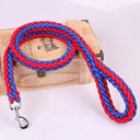 Nylon Dog Harness Leash for Medium Large Dogs Walking Hiking