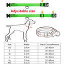 LED Light Up Dog Collar: Customizable Night Safety, Waterproof, Multiple Flash Modes  ourlum.com   