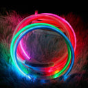 LED Lighted Pet Safety Collar: Bright, Rechargeable, Weatherproof Glow Collar  ourlum   