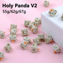 Holy Panda V2 Tactile Switch - Ultimate Mechanical Keyboard