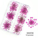 12/18Pcs/box 3D Dried Flowers Nail Art Decorations Dry Floral Bloom Stickers DIY Manicure Charms Designs For Nails Accessories  ourlum.com SSDF08  