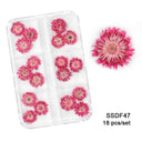 12/18Pcs/box 3D Dried Flowers Nail Art Decorations Dry Floral Bloom Stickers DIY Manicure Charms Designs For Nails Accessories  ourlum.com SSDF47  