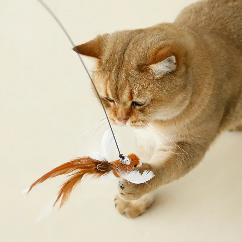 Interactive Bird & Feather Cat Wand with Bell and Suction Cup Toy  ourlum.com   