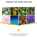 Aromatic Flower Fruit Essential Oil for Stress Relief 10ml