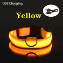 LED Dog Collar: Safety Night Light Flashing Necklace for Pet Visibility  ourlum Yellow USB Charging XS NECK 28-38 CM 