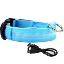 Illuminated Dog Collars: Enhanced Pet Safety & Visibility Solution  ourlum.com Blue usb charging XS neck 28-40cm 