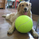 Giant Dog Tennis Ball for Interactive Chew & Play Toy