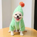 Cute Fruit Dog Hoodies: Warm Fleece Clothing for Small Dogs  ourlum.com 3 Green XS 