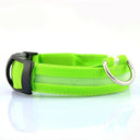 Illuminated Dog Collars: Enhanced Pet Safety & Visibility Solution  ourlum.com Green battery XS neck 28-40cm 