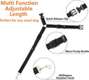 Adjustable Nylon Dog Harness & Car Seat Belt Set: Enhance Safety & Comfort  ourlum.com   