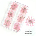 12/18Pcs/box 3D Dried Flowers Nail Art Decorations Dry Floral Bloom Stickers DIY Manicure Charms Designs For Nails Accessories  ourlum.com SSDF02  