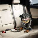 Dog Car Safety Harness: Adjustable Reflective Nylon Seatbelt for Pet Travel  ourlum.com   