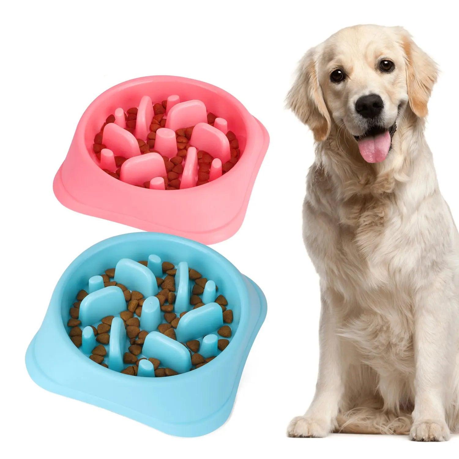 Slow Feeder Dog Bowl: Healthy Anti-Asphyxiation Food Container for Pet Puppies  ourlum.com   