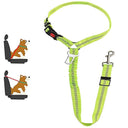 Dog Safety Belt: Professional Safety Leash for Cats and Dogs  ourlum.com Plus insert Green  