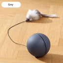 Kimpets Cat Toys Mouse Teaser Ball Fun Moving Toy for Pets