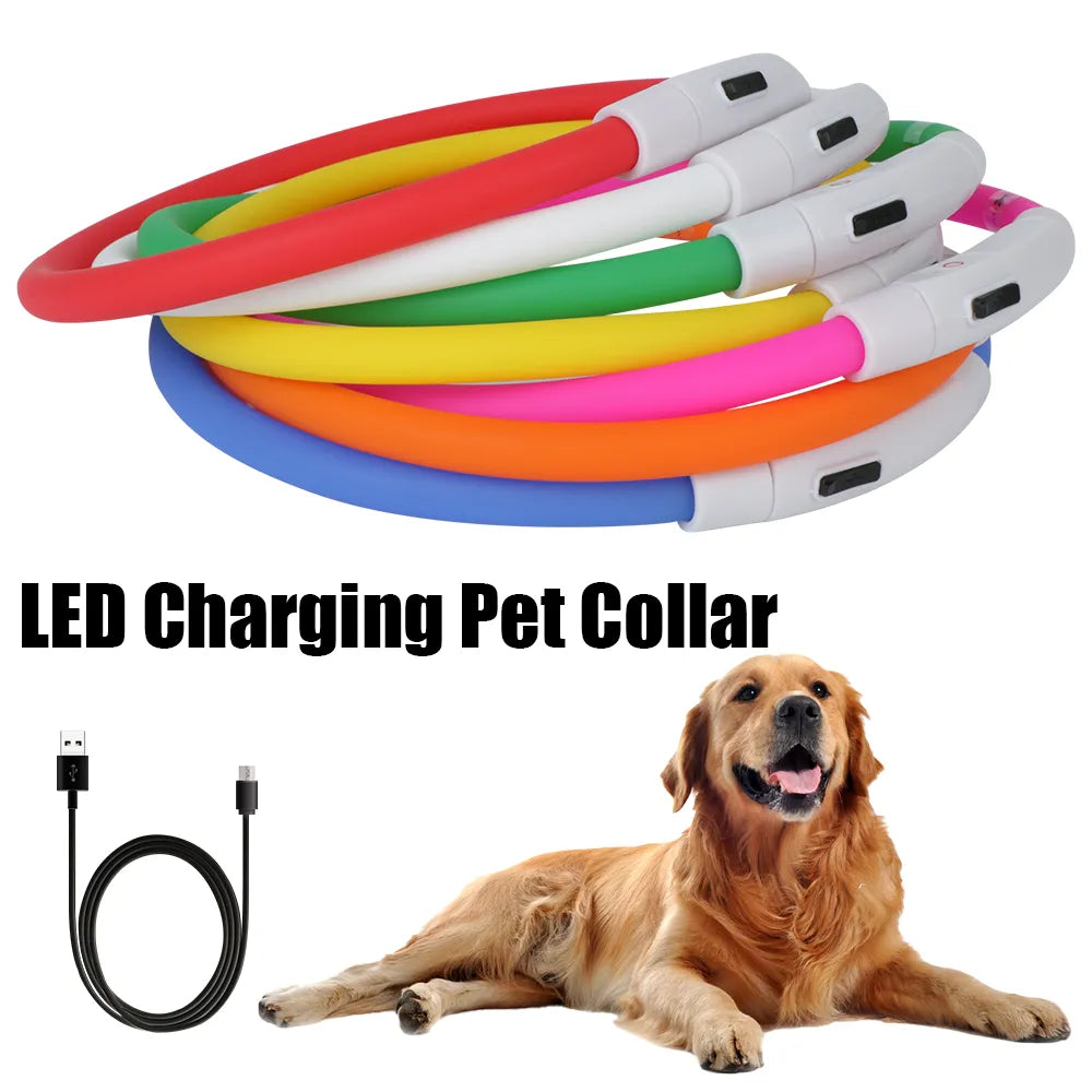 Night Glow LED Dog Collar: High Visibility Pet Safety Light  ourlum.com   