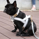 Leather Dog Collar Harness Leash Set: Personalized Stylish Vest for Dogs  ourlum.com   