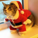 Funny Santa Cat Costumes: Cute Christmas Pet Outfits  ourlum.com   