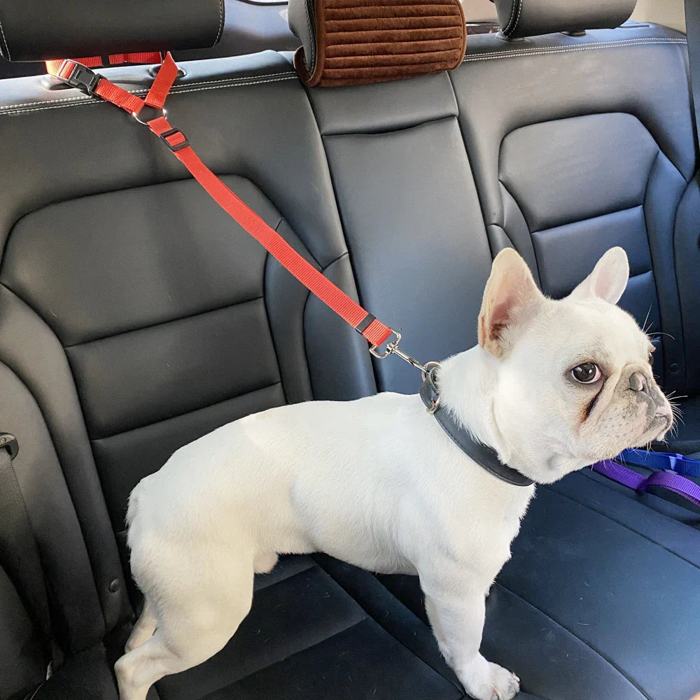 Adjustable Nylon Dog Harness & Car Seat Belt Set: Enhance Safety & Comfort  ourlum.com   
