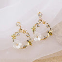 2023 Korean New Light Luxury Zircon Moon Star Earrings