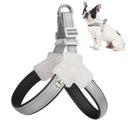 Summer Breathable Dog Harness for Small Medium Dogs Cats