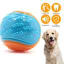 Bite-Resistant Beef-Flavored Rubber Ball for Dog Training